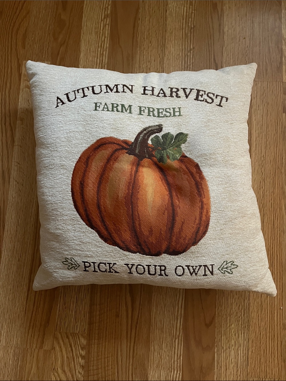 Autumn Harvest Pumpkin Decorative Throw Pillow - Cream and Orange